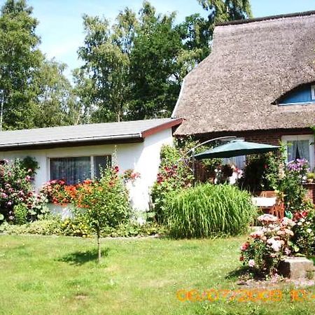 Ferienwohnung "Kleine Deichperle" Prerow Zewnętrze zdjęcie