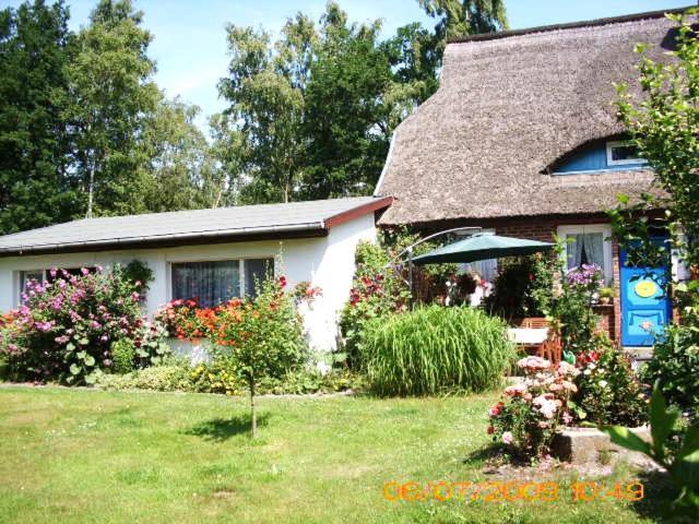 Ferienwohnung "Kleine Deichperle" Prerow Zewnętrze zdjęcie